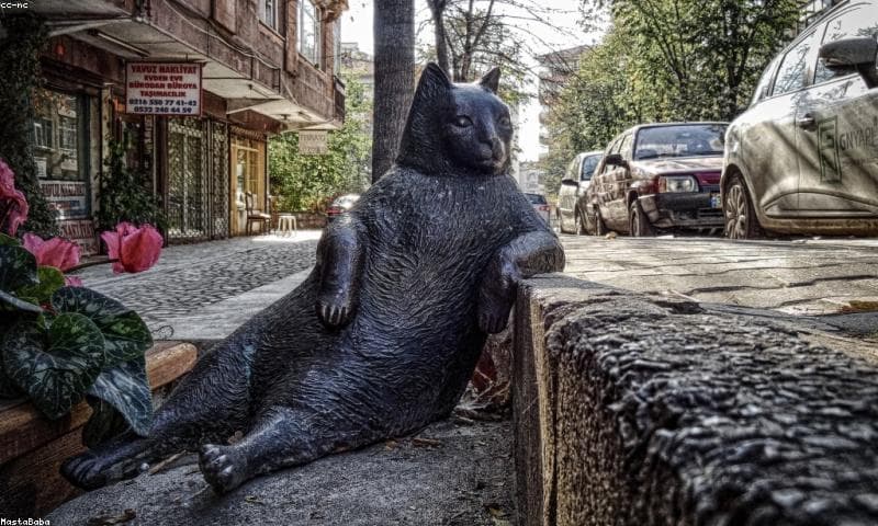 Market Analysis Dashboard